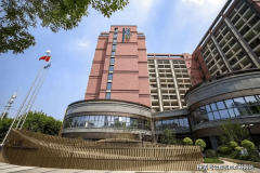 雷达颠仆监测系统